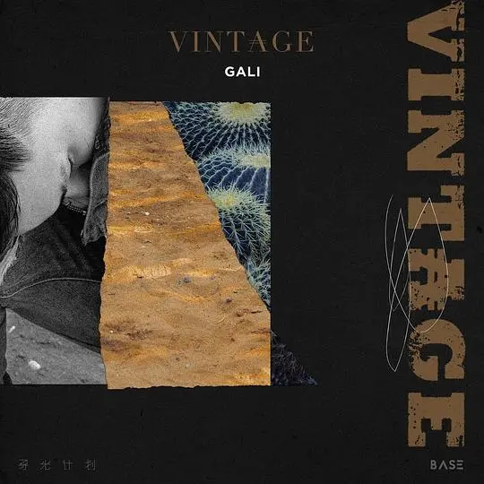 VINTAGE-Cover