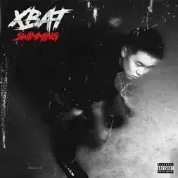 xiaobanate-Cover