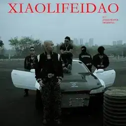 xlfd-Cover